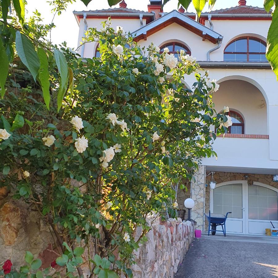 Knez Apartmani Senje Exterior photo